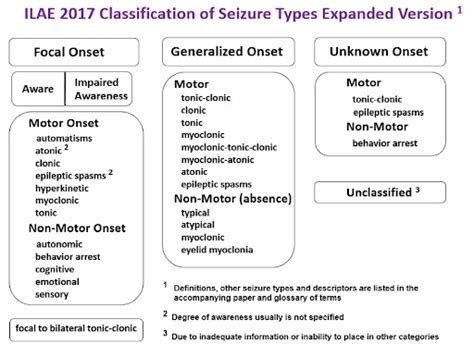 What Are The Seizure Types Doose Syndrome Epilepsy Alliance