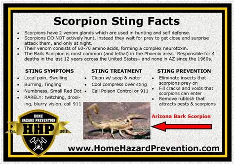 Basic Scorpion Sting Facts And Treatments Sting Pet Safety Facts