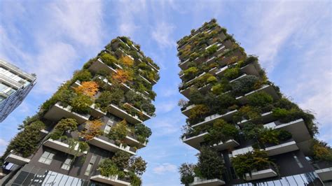 The Urban Forest Of The Future How To Turn Cities Into Treetopias