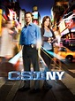 Reparto CSI: Nueva York temporada 1 - SensaCine.com