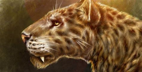 10 Huge Prehistoric Cats Prehistoric Wildlife Prehistoric Animals