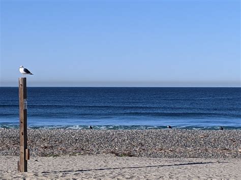 South Ponto Beach Photo Of The Day Carlsbad Ca Patch