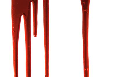 Blood Dripping Down Over White Stock Footage Video 337294 Shutterstock