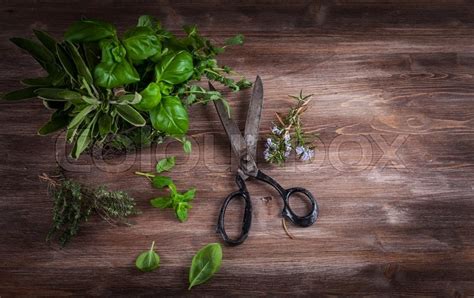 Different Fresh Herbs With Garden Stock Image Colourbox