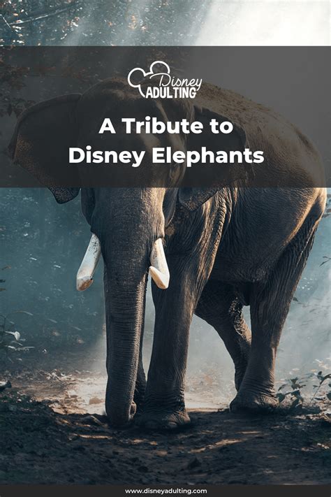 A Tribute To Disney Elephants Celebrating National Elephant Day