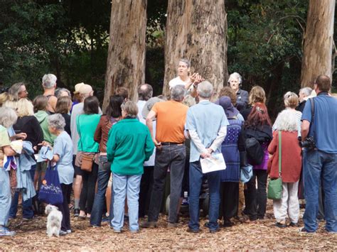 Berkeley Protesters Get Naked To Save Eucalyptus Trees KQED