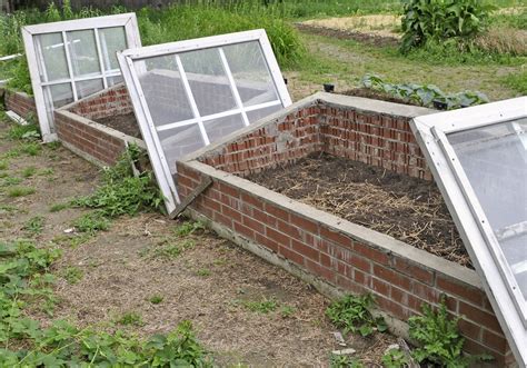 Diy Cold Frames From Old Windows Learn About Making Window Cold Frames