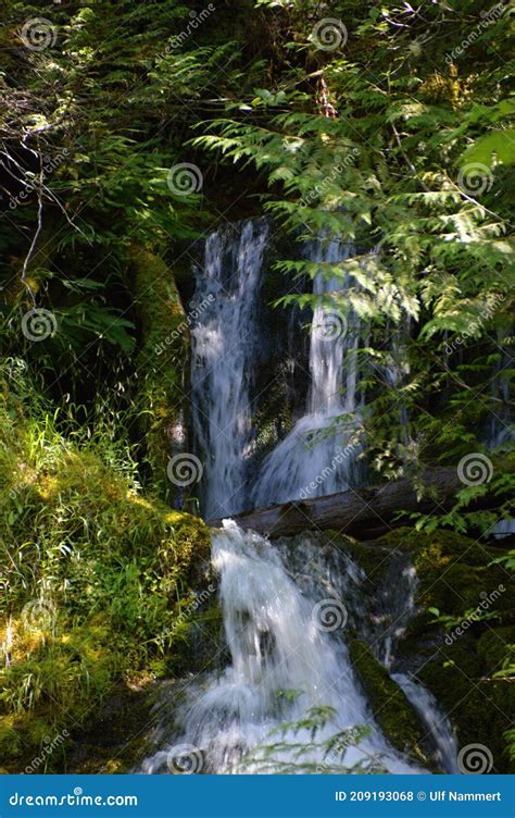 Madison Waterfall In Olympic National Park On The Olympic Peninsula In