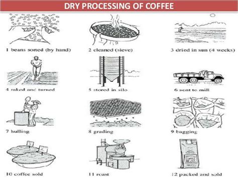 Image Result For Milling Process Coffee Ielts Writing Writing Tasks