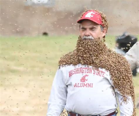 Washington State University Administrator Wears Bee Beard To Raise