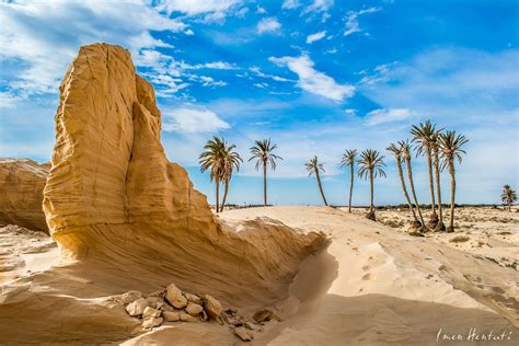 Tozeur Tunisia For More Visit I Love Desert