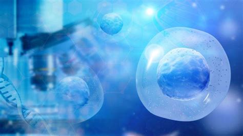 Cancer Cell：探索原发性和复发性胶质母细胞瘤中干细胞标记物 专区 生物谷