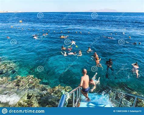 Sharm El Sheikh Egypt December 31 2018 The People Snorkeling In