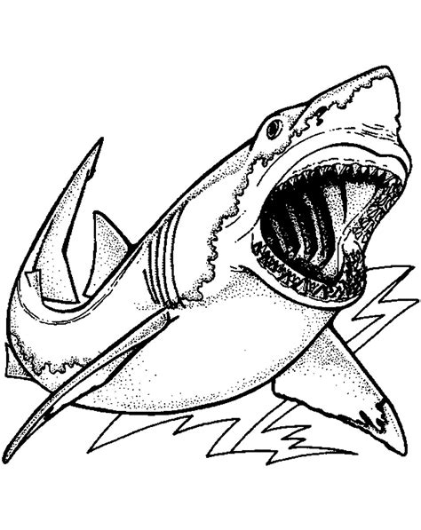 Shark Coloring Pages Great Printable Drawing Cool Kids Sharks Realistic
