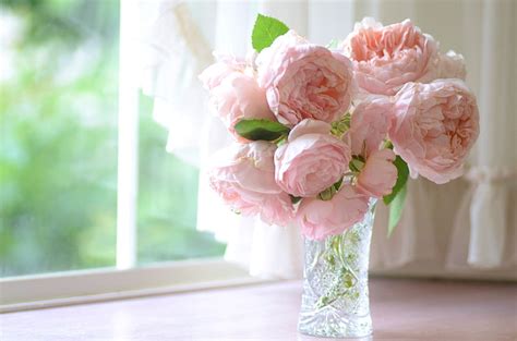 Pink English Rose Flowers Bouquet Centerpiece Roses Petals Window