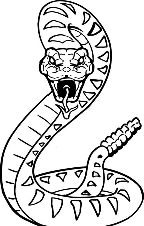 Cool Snakes Coloring Pages Coloring Home