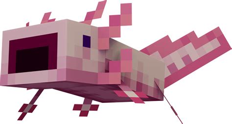 Found A Weird Unused Texturepart In The Axolotl Texture And It Looked