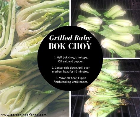 How To Grill Baby Bok Choy Gardening Channel Bok Choy Grilled Bok