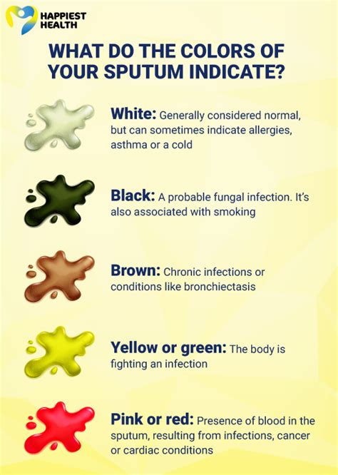 Color Of Sputum What Does It Tell You Happiest Health