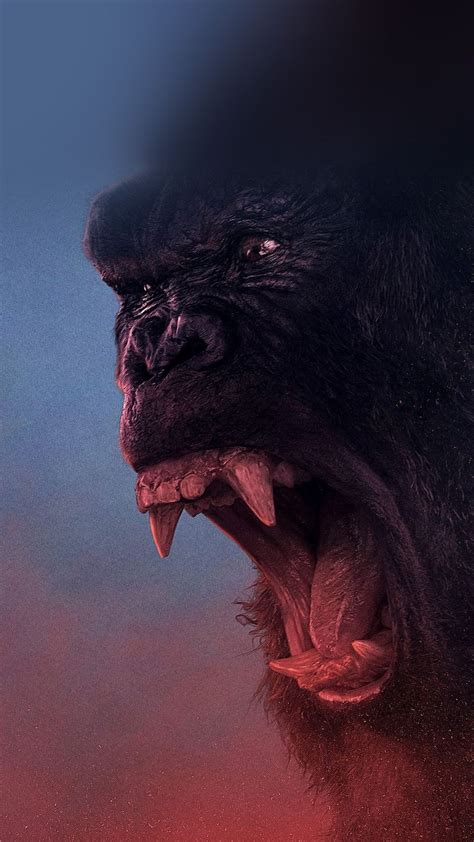 Angry Gorilla Wallpapers Wallpaper Cave