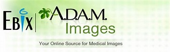 About A.D.A.M. Images | ADAM Medical Illustrations | Medical Images