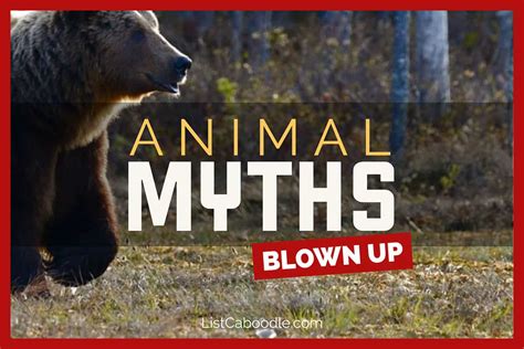 27 Animal Myths Blown Up Revealed Listcaboodle