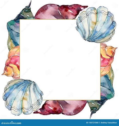 Summer Beach Seashell Tropical Elements Watercolor Background