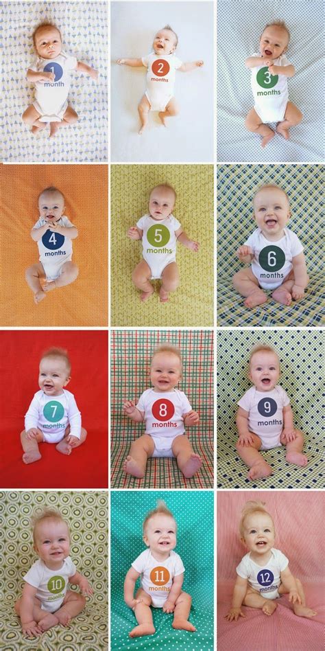 Cute Monthly Baby Picture Ideas Baby Viewer