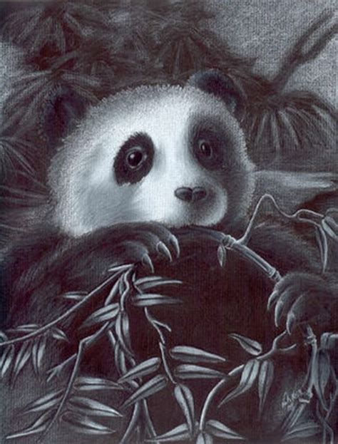 Great Drawings With Pandas 25 Pics