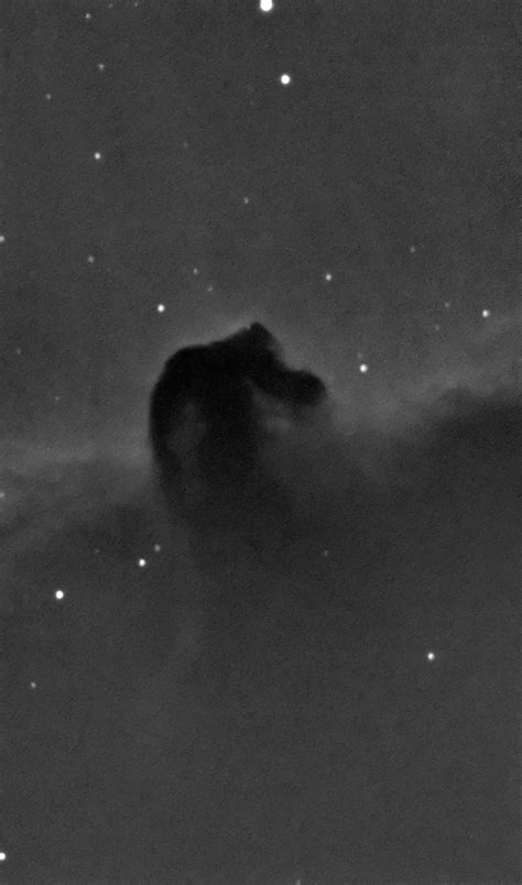 The Horsehead Nebula Femmas Astronomy