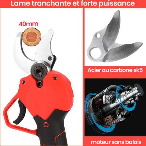 Secateur Electrique Sans Fil Professionnel W Mm Avec Batteries