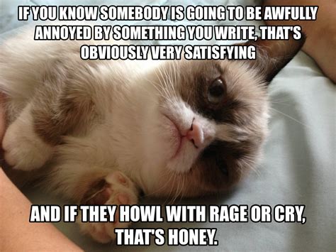 Grumpy Cat Quotes Quotesgram