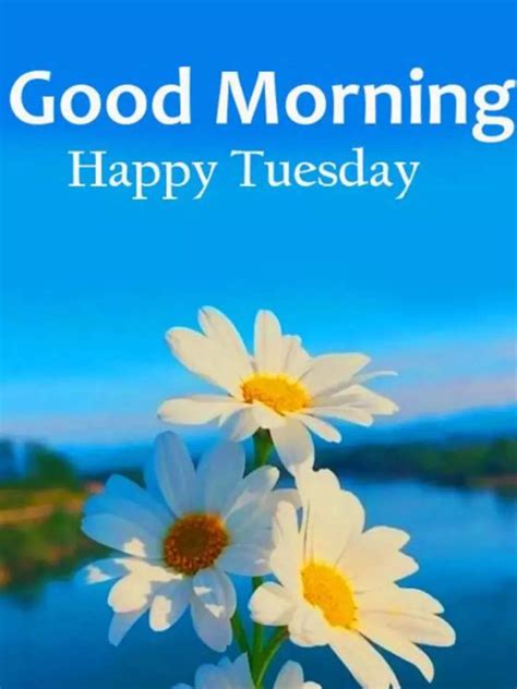 tuesday morning good morning happy tuesday wishes images and quotes for whatsapp times now