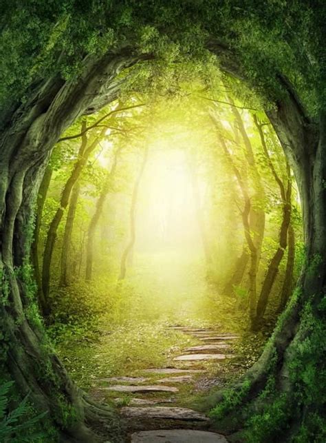 Enchanted Pathway Backdrop • Whimsical Woodland Backdrop Fantasy