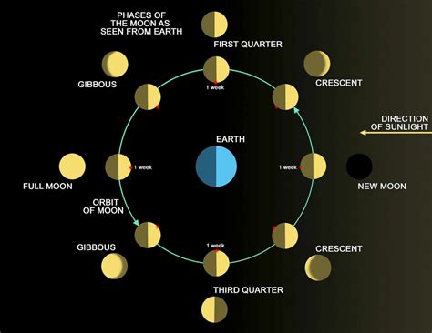 Nasa New Moon Diagrams