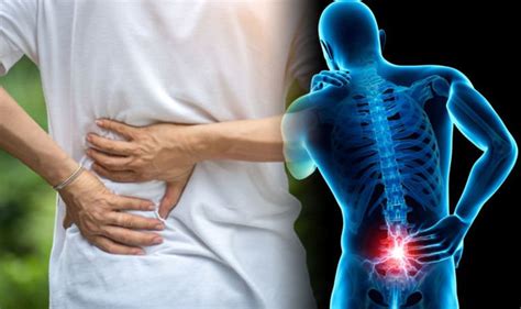 Where Is Kidney Pain In The Body