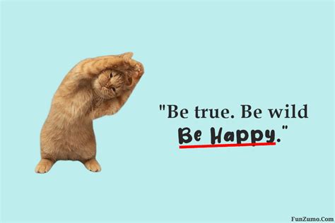 35 Cute Happy Quotes Inspiring Happiness Quotes Funzumo