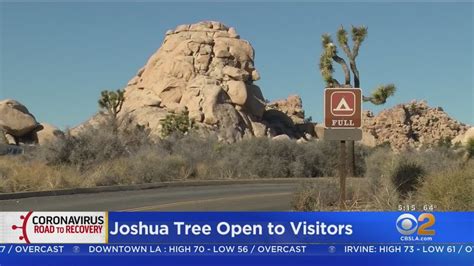 Joshua Tree National Park Reopens Youtube