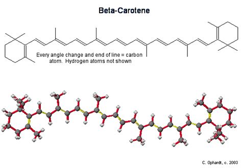 Vitamin A β Carotene Chemistry Libretexts