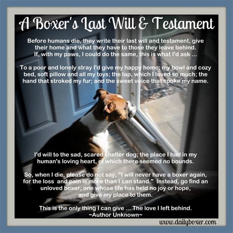 Funny last will and testament quotes. A Boxer's Will & Testament | The Daily Boxer