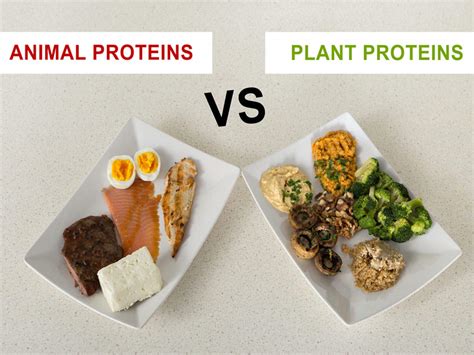 Heart Health Tips Vegan Protein Source Is Healthier For Heart Than