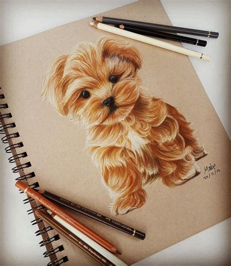 Cool Pictures Of Puppies Drawings Ideas Homemadefer