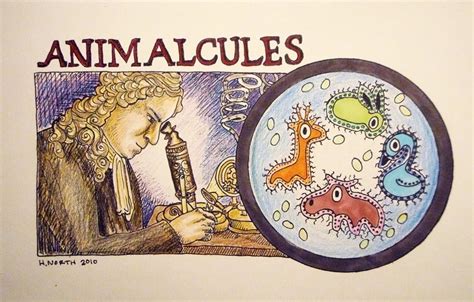 Antoni Van Leeuwenhoek Il Microscopio I Batteri E Gli Spermatozoi