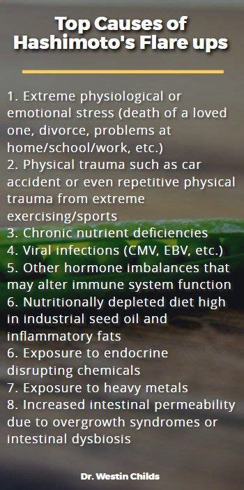They both indicate that someone doesn't eat meat, right? Top causes of hashimotos flare ups mini | Hashimotos