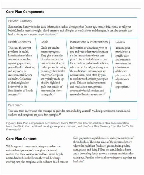 20 Nursing Care Plan Template Word