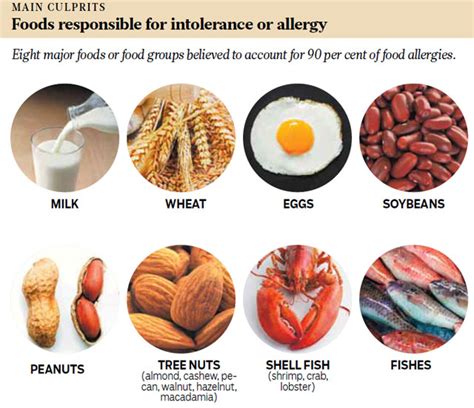 Diet Plan For Nut Allergy Oikos