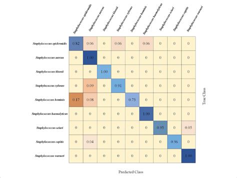 Confusion Matrix Of 5 Fold Cross Validated Staphylococcus Species