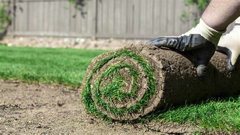 In this post, we intend to describe what it takes to have a beautiful yard. How to Lay Sod Yourself - LawnStar