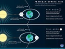 King Tides: A cosmic phenomenon | California Sea Grant