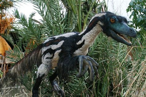 The 10 Most Important Dinosaur Facts Prehistoric Animals